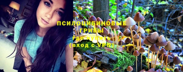 синтетический гашиш Алексеевка